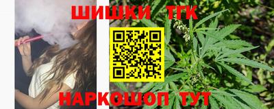крисы Моздок