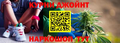 крисы Моздок