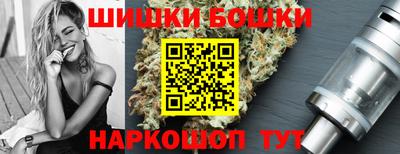 крисы Моздок