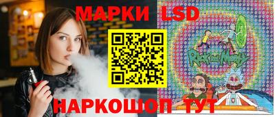 крисы Моздок