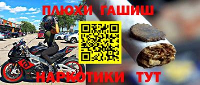 крисы Моздок