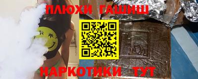 крисы Моздок