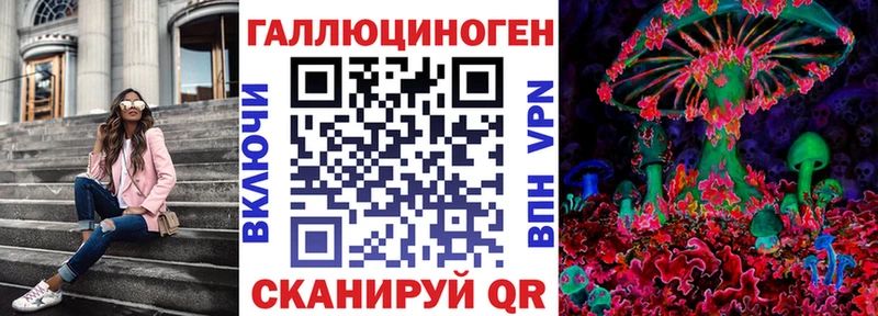 где найти   Новокузнецк  Псилоцибиновые грибы Cubensis 