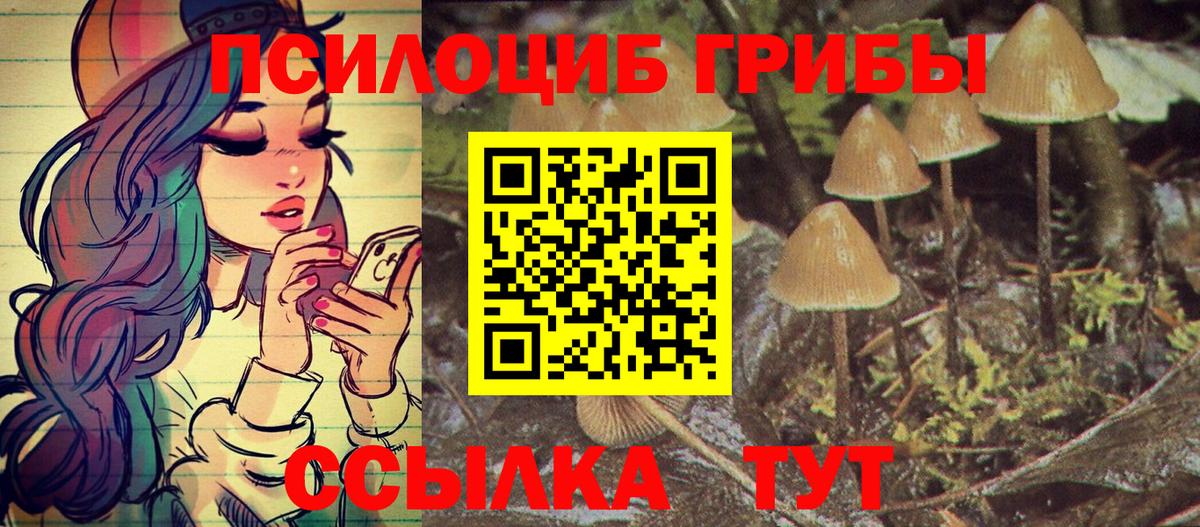 Псилоцибиновые грибы Psilocybe  Галлюциногенные грибы мухоморы  Вход с VPN  Новокузнецк 