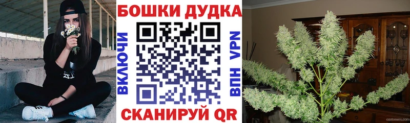 omg ONION  Новокузнецк  Каннабис сатива 
