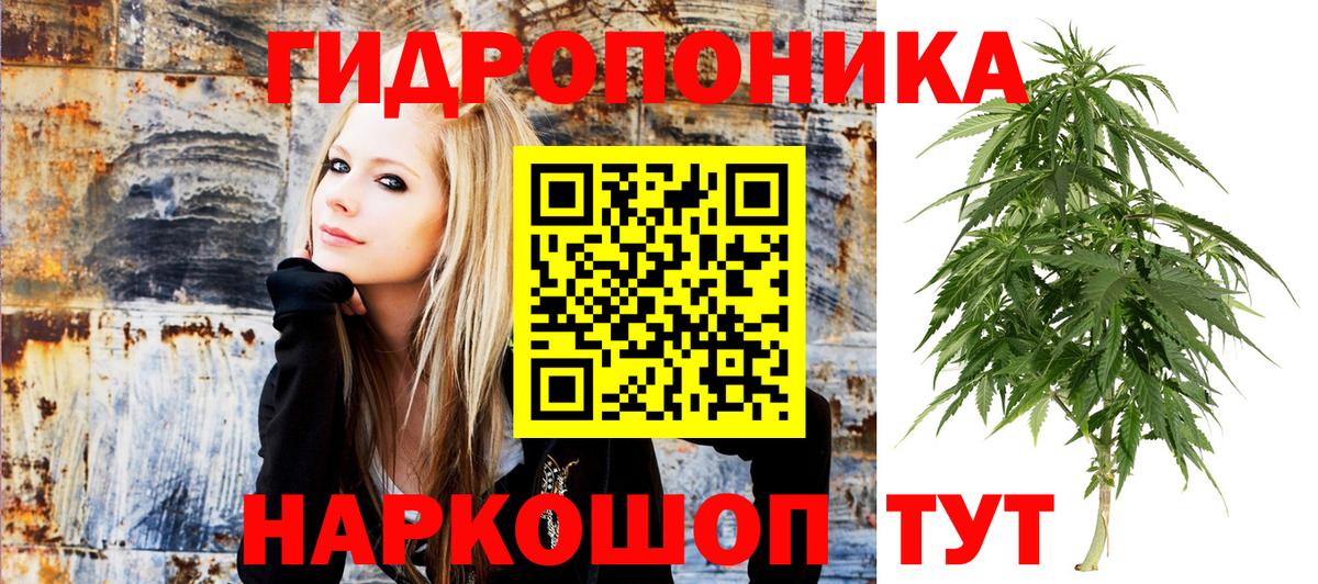 Бошки Шишки SATIVA & INDICA  Вход с VPN  Шишки марихуана AK-47  Марихуана марихуана  Канабис сатива  Новокузнецк 